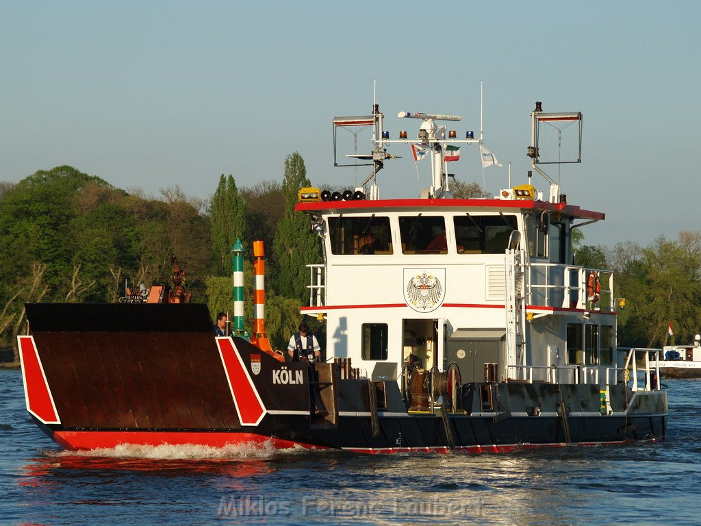 Motor Segelboot mit Motorschaden trieb gegen Alte Liebe bei Koeln Rodenkirchen P130.JPG